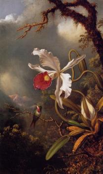 Martin Johnson Heade : An Amethyst Hummingbird with a White Orchid